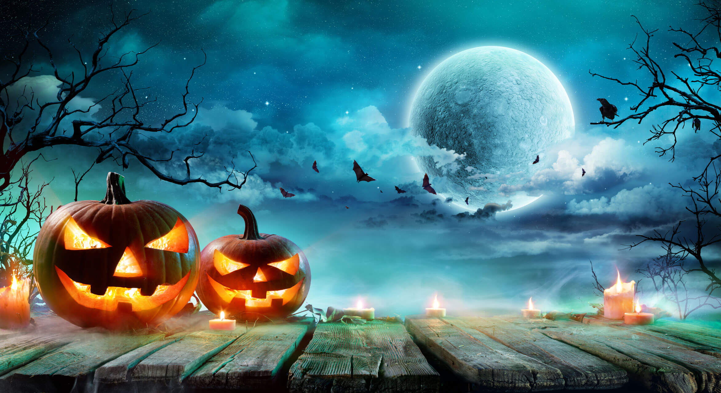 HalloweenBookingBGWeb | Causey Farm